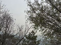 -香山公园