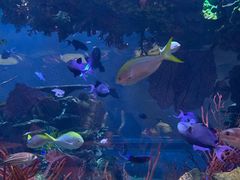 景观位-迪拜帆船酒店海底餐厅