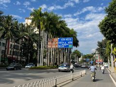 -西双版纳原始森林公园