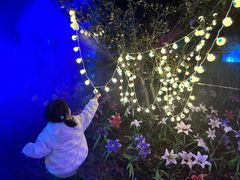 -歌斐颂巧克力小镇