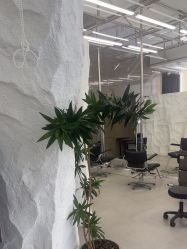 点击看大图 -BOF HAIR BY HONTO