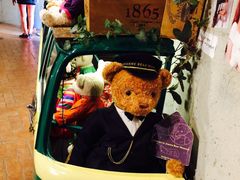 -济州岛泰迪熊博物馆