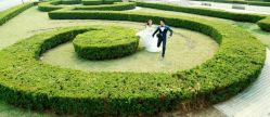 点击看大图 -薇视觉婚纱摄影工作室·婚纱照·结婚照