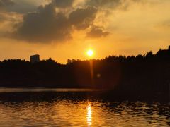 -海珠湖公园