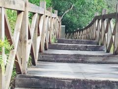 -广州市流溪河国家森林公园