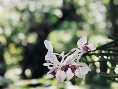 -上海辰山植物园