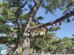 -大连老虎滩海洋公园