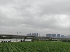 -光明小镇欢乐田园