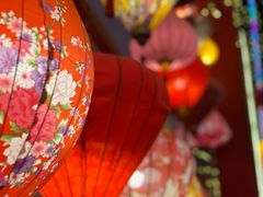 -北戴河集发农业梦想王国