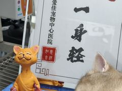 -爱佳宠物中心医院24H·CT·骨外科·猫专科(瑶海万达店)