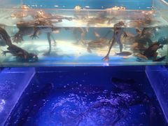 -阿财老铺·凤阳土菜馆