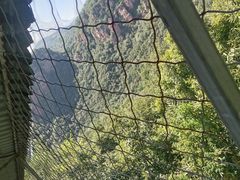 -伏羲山旅游区