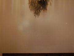 景观位-Ginko银子(青龙街店)