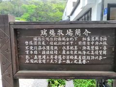 -瑞穗牧场