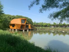 -广富林郊野公园