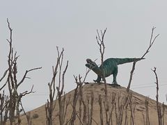 -二连浩特国家地质公园