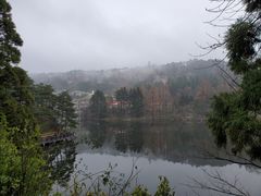 -庐山风景区花径公园