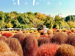 -花开海上生态园