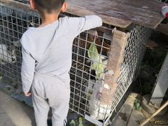 -菊园百果园