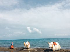 -青海湖国家重点风景名胜区