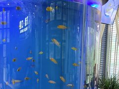 -方津口腔(旺墩路店)