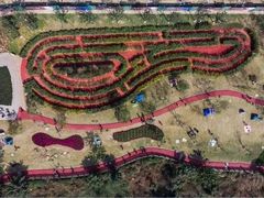 -铁山坪森林公园