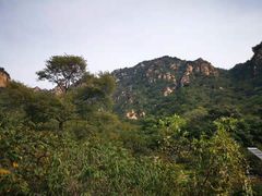-大岭沟猕猴桃谷风景区