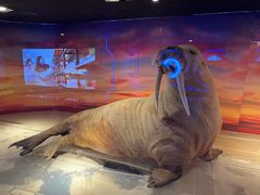 -大连圣亚海洋世界