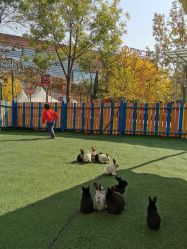 -萌宠亲子动物乐园(槐房万达店)