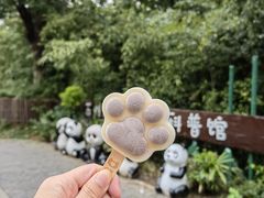 -苏州太湖国家湿地公园