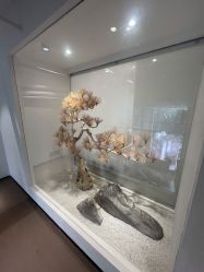 店内环境-麗宫轻医美·问题肌肤管理中心