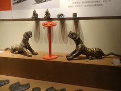 -紫金山天文台