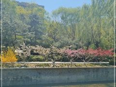 -元大都城垣遗址公园