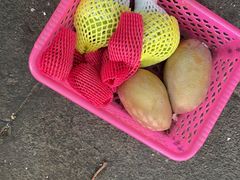 -鸿港海鲜批发市场