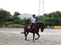 -意大利农场度假村