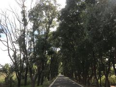 -同里国家湿地公园