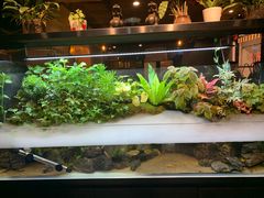 -牛品福潮汕牛肉火锅(旺庄店)