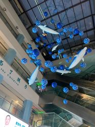 -上海浦滨儿童医院
