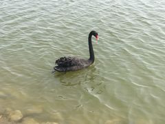 -南大港湿地风景区