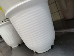 -水立方国际汤泉(六一中路店)