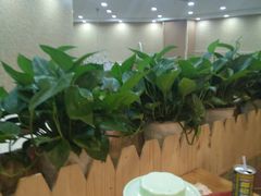-让鸭脑壳飞(龙华店)