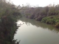 -白鹭湾湿地公园