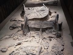 -北京大葆台遗址博物馆