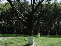 -重庆中央公园(渝北区)