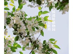 -洛阳市隋唐城遗址植物园