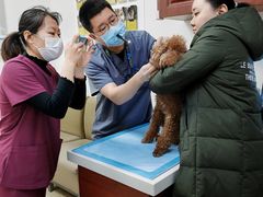 -美联众合动物医院·24h转诊中心