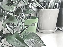 -招商银行(上海虹桥商务区支行)