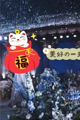-琥珀婚礼策划AMBER WEDDING