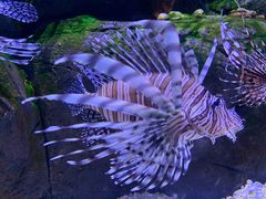 -成都浩海立方海洋公园