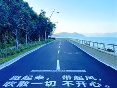 -杨梅坑